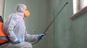 Best Mold Odor Removal Services  in Milford, NE